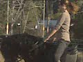 Krist Under Saddle