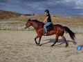 Riding my horse
