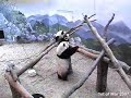 Lun Lun pulls down Mei Lan - 1.03.07
