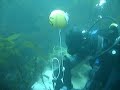 Instalaci�n de un VR2W