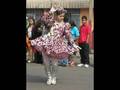 bailes religiosos de Antofagasta