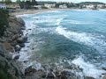 la fosca palamós en plena rabia 1