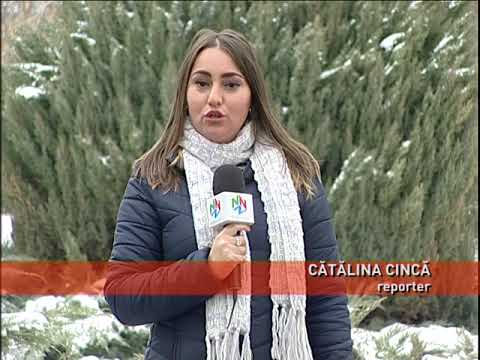 Trafic în condiţii de iarnă