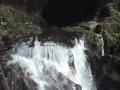 Rare Aqua Yeti Surfaces in Chiapas Jungle, Mexico