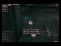 Lineage 2 PVP Mystic Muse / Adventurer Part 2