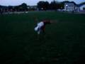 ramilo dancin
