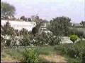 Dhok Thathi Bewal Mera Garaan