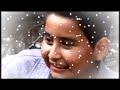 SELVA NEGRA - ME ROBA EL OSO POLAR