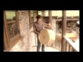 Video screenshot
