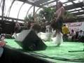 Suli O Ali'i [Nonu Paoa]