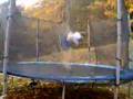 12 backflips in a row