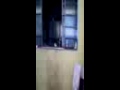 Tarzan.3gp