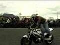 European-Stunt-frees