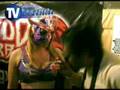 Lizzy Valentine bella luchadora valet de Juventud Guerrera