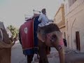 Crazy Sights and Sounds of Rajasthan, India Crazy Sights and Sounds of Rajasthan, India