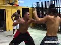 ray fight