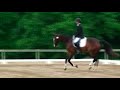 Zandola - Waterloo Dressage June 8, 2008 Zandola - Waterloo Dressage June 8, 2008