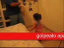 jugetito loco jugetito loco