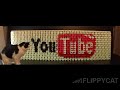 YouTube 3.5 YouTube 3.5