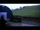 World Sheepdog Trials Champion 2002 & 2008