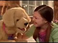 Cãozinho - Biscoito - Hasbro - Biscuit My Lovin Pup