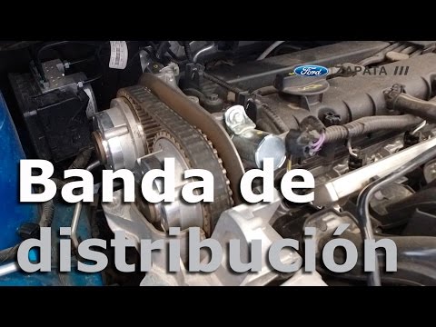 ¿Cuándo cambiar la banda de distribución? 