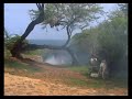 filmado no senegal em 2002.