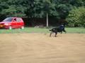 videos de POTENCIA Y VELOCIDAD