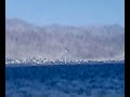 Eilat Tyfoon