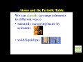 Atoms and the Periodic Table: Chemistry Review (Examville.com)