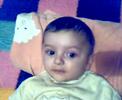 ste-tahrcan.html