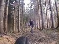 The Real Stumpjumper Trail