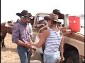 TX Ranch '03 - Drink or Rinse?