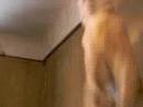 gatto minu a biancavilla italia