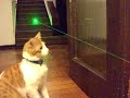 Puntero Laser 240mW probando