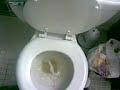 pee video.... don\