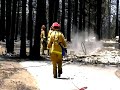 Touring aftermath of Angora Fire, South Lake Tahoe Touring aftermath of Angora Fire, South Lake Tahoe