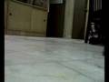 Renault R27 doing donuts in my dining room