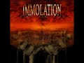 Dead To Me - Immolation