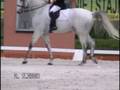 Casale 2