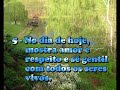 Os cinco princ�pios do Reiki