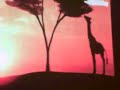 Rose Laurens (Africa)