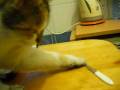 videos de Manicure Cat