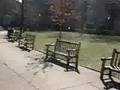 A Walk Through Rittenhouse Square - Philadelphia