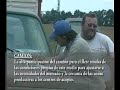 Conozcamos el Campo_Bloque_03