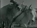 il filmato presenta immagini di repertorio della sardegna degli anni '30 e '50, tratte dall'archivio storico dell'istituto luce. il documento propone uno spaccato della vita quotidiana e festiva della sardegna della prima met� del xx secolo, gli antichi mestieri, le feste e le cerimonie. la colonna sonora, composta appositamente per sonos 'e memoria, si propone come rielaborazione delle forme musicali pi� caratteristiche della tradizione sarda.

autore: cabiddu gianfranco
regia: cabiddu gianfranco
musiche: cabiddu carlo (violoncello), di castri furio (contrabbasso), fresu paolo (direzione musicale), fresu paolo (tromba), lai luigi (launeddas), ledda elena (voce), palmas mauro (mandola), puddu susanna (organizzazione musicale), salis antonello (fisarmonica), sanesi federico (percussioni)