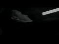 Underground Bodies