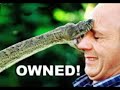 Ownage compilation (pwnage,pwn,own,pwned,owned,pwn3d,own3d) Ownage compilation (pwnage,pwn,own,pwned,owned,pwn3d,own3d)