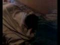 susurros de un despertar