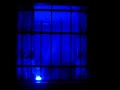 LED-Scheinwerfer 48x Osram Dragon blau